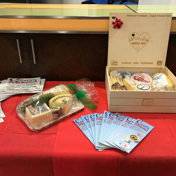 266252729_4662635820438222_2913086196953414721_n