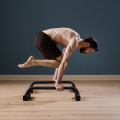 allenamento calistenico